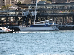 cruiser yacht